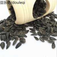 黑珍珠 小瓜子葵花子油葵籽鹦鹉鸟食仓鼠零鸟粮 250克