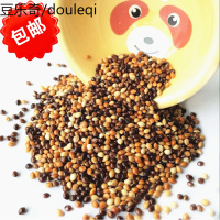 黑白红青 黍子 5色混合 虎皮鹦鹉鸟食鸟粮饲料 2.5千克