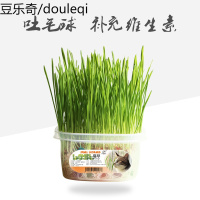 静一-小野豹水晶猫套装 送猫薄荷吐毛球化毛猫零食小麦