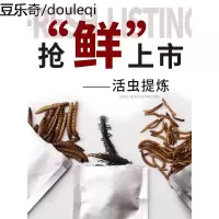 保鲜虫银龙鱼专用龙鱼饲料面包虫粉虫大麦虫蜈蚣鹦鹉鱼饲料鱼食