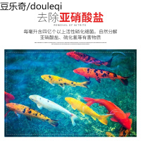 超级硝化细菌液 迅速分解有机物、氨、亚硝酸盐 净水超强