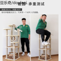 四季可用藤席款猫爬架大猫窝剑麻支柱猫抓柱猫抓板猫跳台猫玩具