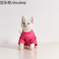 猫咪衣服 宠物猫咪衣服 可爱波点衣服 小猫狗服装波点T恤 两脚衣