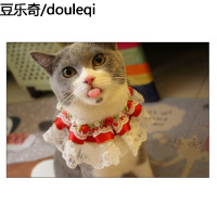 宠物饰品 猫咪围嘴 工宠物项圈猫咪围嘴狗狗泰迪项圈蕾丝围巾