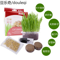 猫种植套装猫零食去毛球清新口气优质椰土大麦种子懒人猫盒