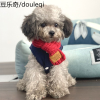 毛线围巾宠物围巾小狗狗围脖雪纳瑞法斗小型犬猫咪围巾围脖暖秋冬