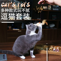 猫玩具网红逗猫棒老鼠玩具羽毛磨牙耐咬幼猫用品猫咪玩具自嗨套装