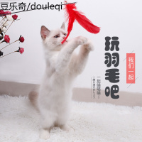 逗猫棒钓鱼竿长杆猫玩具羽毛铃铛宠物猫咪用品英短小猫的逗猫玩具