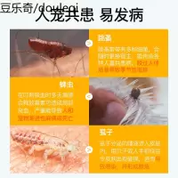 猫咪狗狗驱虫项圈除蚤防虱子颈圈体外环猫去跳蚤圈狗圈宠物驱蚊