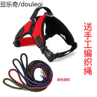 狗狗项圈狗链中大型犬胸背带马鞍式脖圈金毛萨摩宠物牵引绳狗颈圈