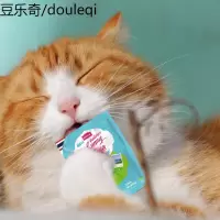 静一 猫湿粮猫鲜包 金鱼+三文鱼85g*16袋