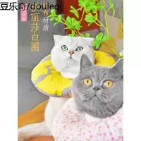 伊丽莎白圈 猫项圈猫咪头套防舔咬狗狗耻辱项圈脖套伊利沙白脖圈