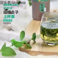 伊登猫木天蓼叶猫咪爱上喝水排毛营养品猫忘忧幼成猫零食野菜