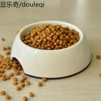 冠能 全价蛋白离乳期猫粮室内折耳英短美短通用猫主粮