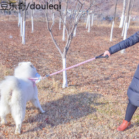 多尼斯狗狗牵引绳防爆冲减震大型犬金毛狗绳哈士奇狗链子宠物用品