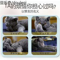 奥丁膳食猫粮成猫幼猫奶糕粮含裙带菜英短蓝猫美短天然粮1.5kg3斤