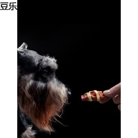尾巴先生 纯手工果蔬鸭肉卷宠物鸡胸肉泰迪金毛 训练狗狗奖励零食