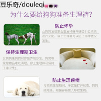 大狗狗生理裤女狗大型犬宠物母狗姨妈巾尿不湿金毛卫生月经安全裤