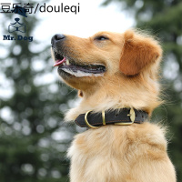 中型大型犬金毛萨摩耶德牧大狗宠物狗狗真皮项圈牛皮脖套脖圈用品
