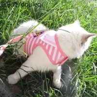 宠物胸背牵引绳帅气胸背不嘞脖防走丢拴猫绳可当衣服猫狗牵引