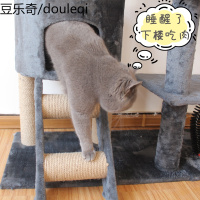 猫爬架通天柱猫窝别墅猫树一体豪华猫屋多层大型猫架子爬树猫墙塔