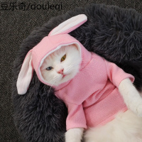 猫咪衣服宠物猫秋冬英短蓝白猫布偶小猫猫猫卫衣可爱秋装冬装女