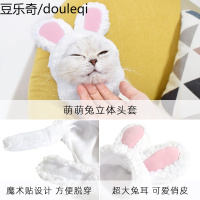 网红猫咪兔子头套可爱生日兔耳朵猫帽子装饰品头饰装扮宠物用品