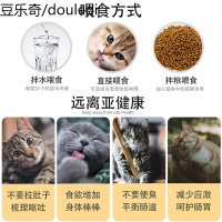 喵想益生菌喵常益A型猫咪专用呕吐拉稀宠物幼猫用猫想调理肠胃宝