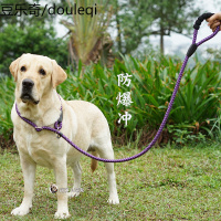 从小用到大 P链牵引绳拉布拉多金毛防爆冲狗链脖圈项圈大狗遛狗链