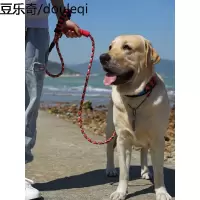 加宽脖圈+1.8米牵引绳 双扶手遛狗链脖圈幼犬拉布拉多可调节狗绳