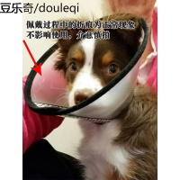 宠物伊丽莎白圈狗狗头套绝育保护套耻辱圈擦药皮肤病防抓伤大狗圈