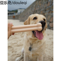 宠物玩具磨牙棒仿真骨头耐咬狗狗洁齿金毛幼犬换牙期狗狗玩具