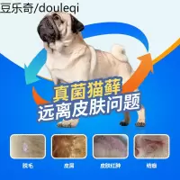 摩登狗肤美康猫咪皮肤病真菌猫藓体外驱虫宠物蓝猫外用驱虫药喷剂