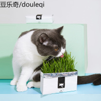 未卡猫懒人猫薄荷球无土水培盒种植套装种子吐毛猫咪化毛猫零食