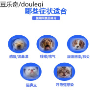 爱纳它猫支鼻用药猫咪尿路感染感冒猫皮肤溃烂皮炎药