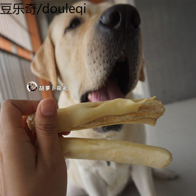 狗咬胶牛尾巴金毛拉布拉多幼犬宠物零食磨牙棒耐咬洁齿牛骨 200克