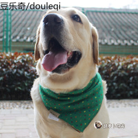 狗狗口水巾中大型犬卖萌拍照围脖可爱三角巾金毛拉布拉多宠物用品