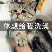 猫洗袋猫咪洗澡神器洗猫袋猫咪洗澡专用猫咪固定防猫抓剪指甲猫包
