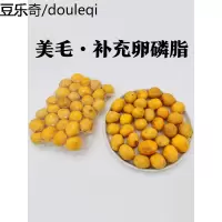 美毛黑鼻子风干蛋宠物零食补钙卵磷脂幼犬金毛营养拌狗粮 200克