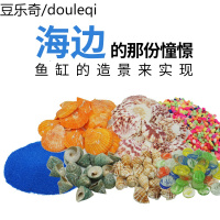 鱼缸彩砂装饰造景底砂底沙石 贝壳花螺生态造景