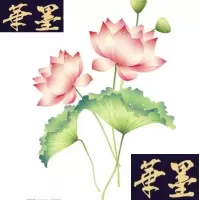 正版旧书东海 1961年 1-6期、7-12期 2本 精装合订本B-Y-D