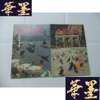 正版旧书中华信鸽 1993年第1、6期 总第31、37期 2册Y-Q-Z
