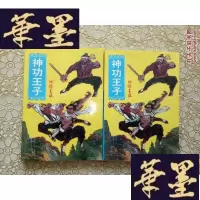 正版旧书老版武侠：神功王子（上下）