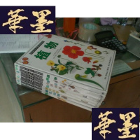 正版旧书目击者丛书-自然博物馆(1鸟4哺乳动物6鱼7犬科动物8海边9植物10壳11猫科动物)16开精装,8册合售G-Y