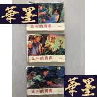 正版旧书新版: 连环画: 战斗的青春1-3(3本合售)不全W-B-Y