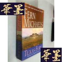 正版旧书TEXAS FURYW-B-Y