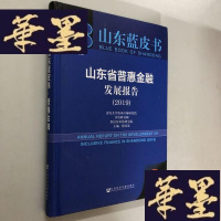 正版旧书山东蓝皮书:山东省普惠金融发展报告(2019)W-B-Y