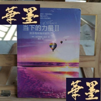 正版旧书当下的力量Ⅱ:找回每时每刻的自己Y-D-S-D