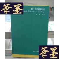 正版旧书镜中的孤独迷宫:文学偏锋系列Y-D-S-D