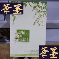 正版旧书爱情来了你就上Y-D-S-D